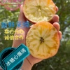 云昭递一鲜果品的一亩田店铺