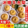 张杠村富硒梨采摘园的一亩田店铺