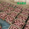 山东邹城奕丰薯业的一亩田店铺