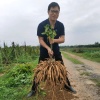 鑫盛源农业有限公司的一亩田店铺