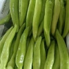 天镇县智慧辣椒代收的一亩田店铺