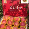 安果途远果业的一亩田店铺