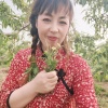 杨丽的一亩田店铺