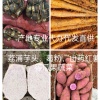 鑫顺果蔬直供基地的一亩田店铺