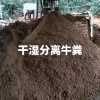朱艳英的一亩田店铺