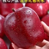 优呆呆电子商务有限公司的一亩田店铺