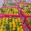三峡橙心果业种植基地的一亩田店铺