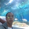 寿阳县汇丰农场的一亩田店铺