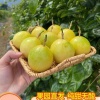 梁果果农场的一亩田店铺