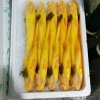 宁德长新水产的一亩田店铺