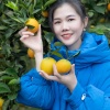兴橙果业的一亩田店铺