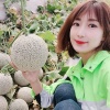 金永倩的一亩田店铺