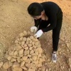 农志奇的一亩田店铺