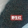 游客2963的一亩田店铺