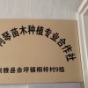 学枝苗木的一亩田店铺