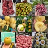 运城市好记家商贸有限公司的一亩田店铺