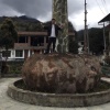四川魔芋之家合作社的一亩田店铺