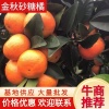 张涛林的一亩田店铺
