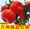 英城玲和日用品店的一亩田店铺