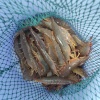 豪缘海鲜批发零售的一亩田店铺