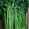 山东济南圣冉蔬菜的一亩田店铺