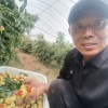雲源农业有限公司的一亩田店铺
