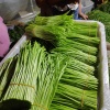 艺云蔬菜种植批发的一亩田店铺