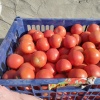 宁夏新希望农民种植专业合作社的一亩田店铺