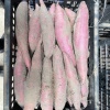 伟仔农厂的一亩田店铺