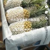 海角种植专业合作社的一亩田店铺