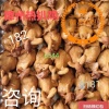 德州扒鸡有限公司的一亩田店铺