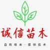 上内苗圃场的一亩田店铺