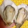 乳山李氏蚝门的一亩田店铺