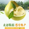曾熹的一亩田店铺