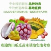 山瓜瓜农业发展有限公司的一亩田店铺
