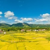 林建华的一亩田店铺