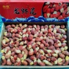 鲁功涛的一亩田店铺