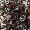 牡丹江健航食品有限公司的一亩田店铺