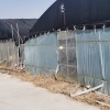 苏南水蛭种卵苗南通如皋市销售基地的一亩田店铺