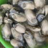 万霞蚝业的一亩田店铺