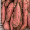 金龙烟薯种植批发的一亩田店铺