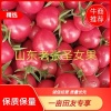 顺心果蔬合作社的一亩田店铺