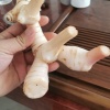 东鲜食品有限公司的一亩田店铺