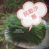 唐莉的一亩田店铺