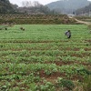 杨志建的一亩田店铺