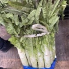 小孙蔬菜的一亩田店铺