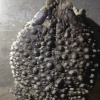 鑫润水产养殖有限公司的一亩田店铺