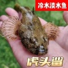 欣泽农业开发有限公司的一亩田店铺