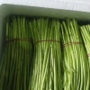桂紫薇的一亩田店铺
