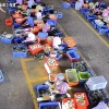 泰国小菠萝加工厂的一亩田店铺